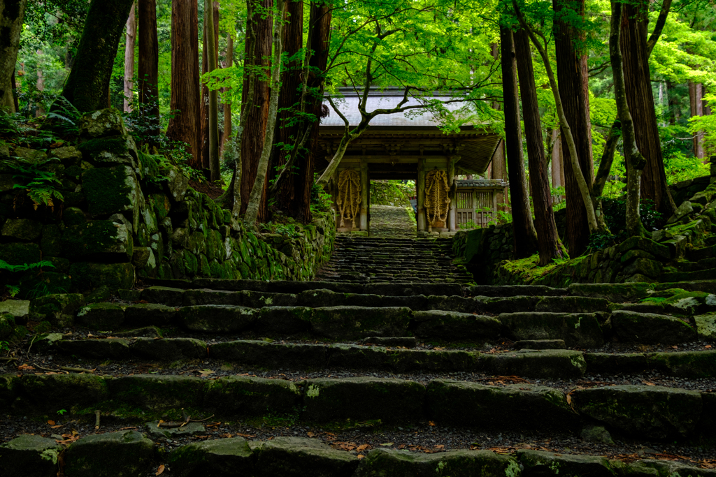 百済寺　緑陰の仁王門