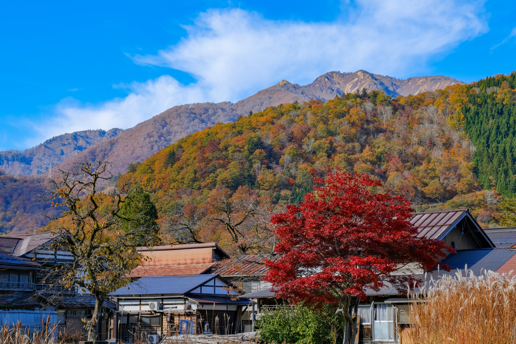 白川郷　紅葉の頃12