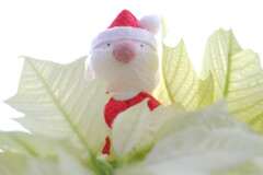 メリークリスマス！
