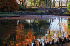 晩秋の公園