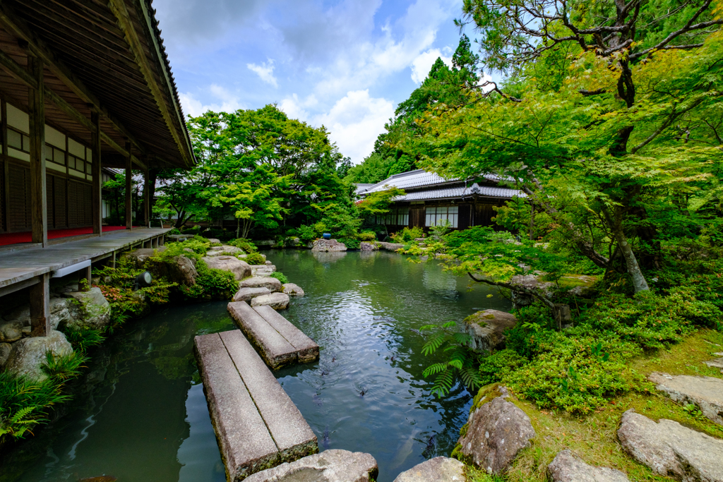 百済寺庭園　新緑の頃