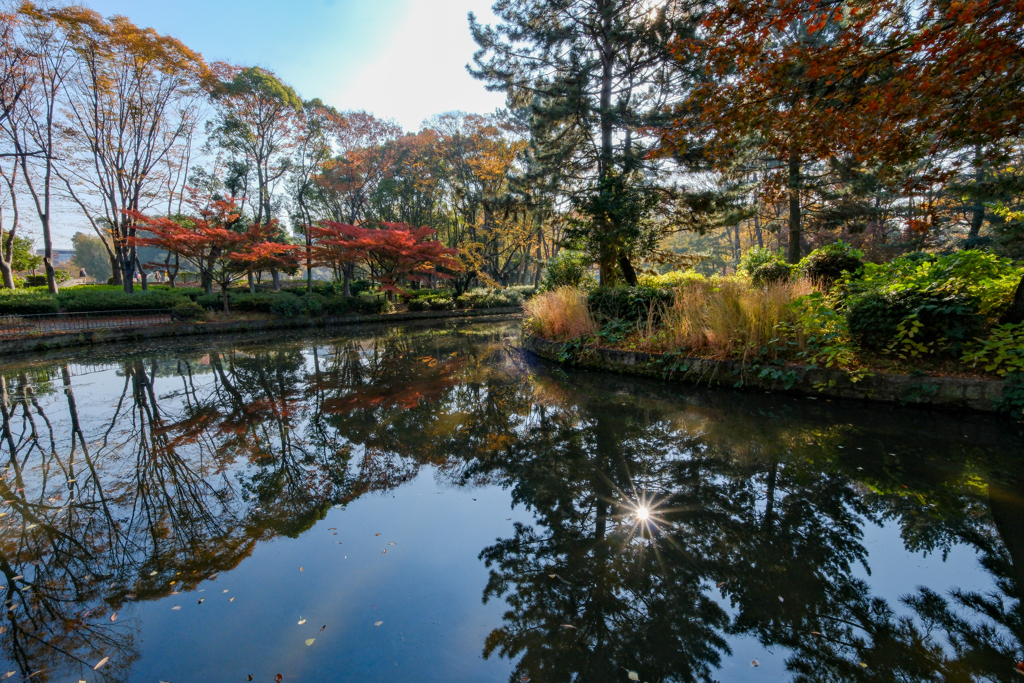 名城公園　晩秋
