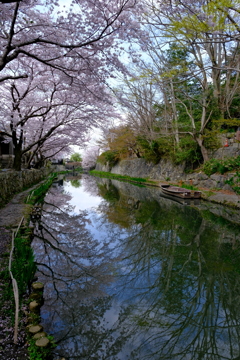 八幡堀めぐり　春