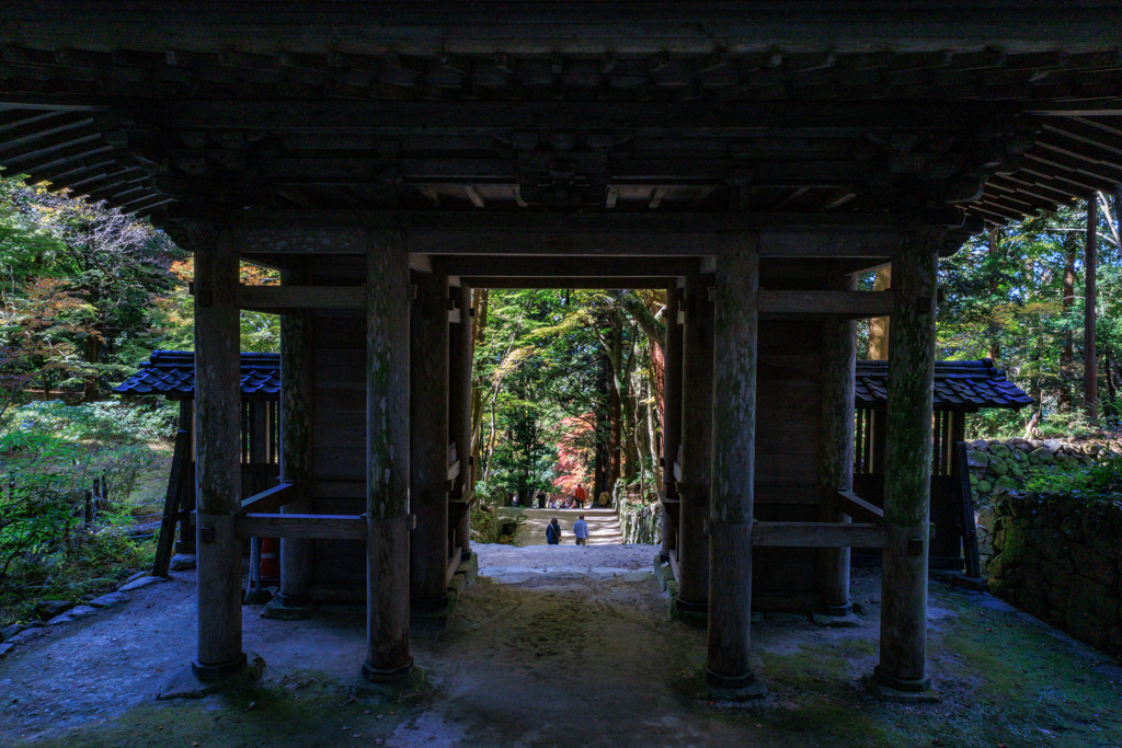 金剛輪寺　二天門　秋