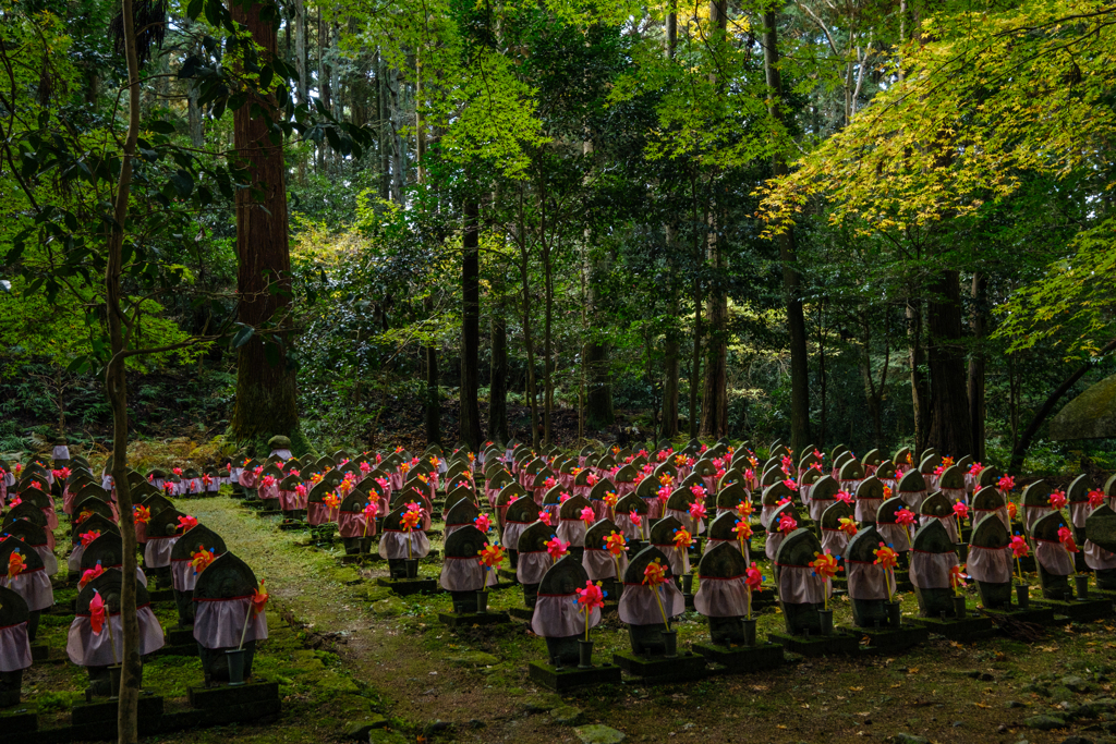 金剛輪寺　秋13