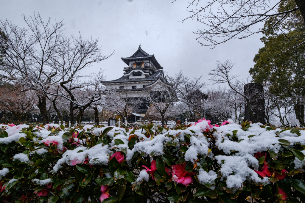 雪の犬山城