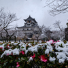 雪の犬山城