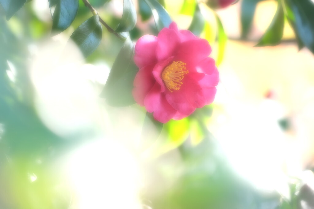 小春日和