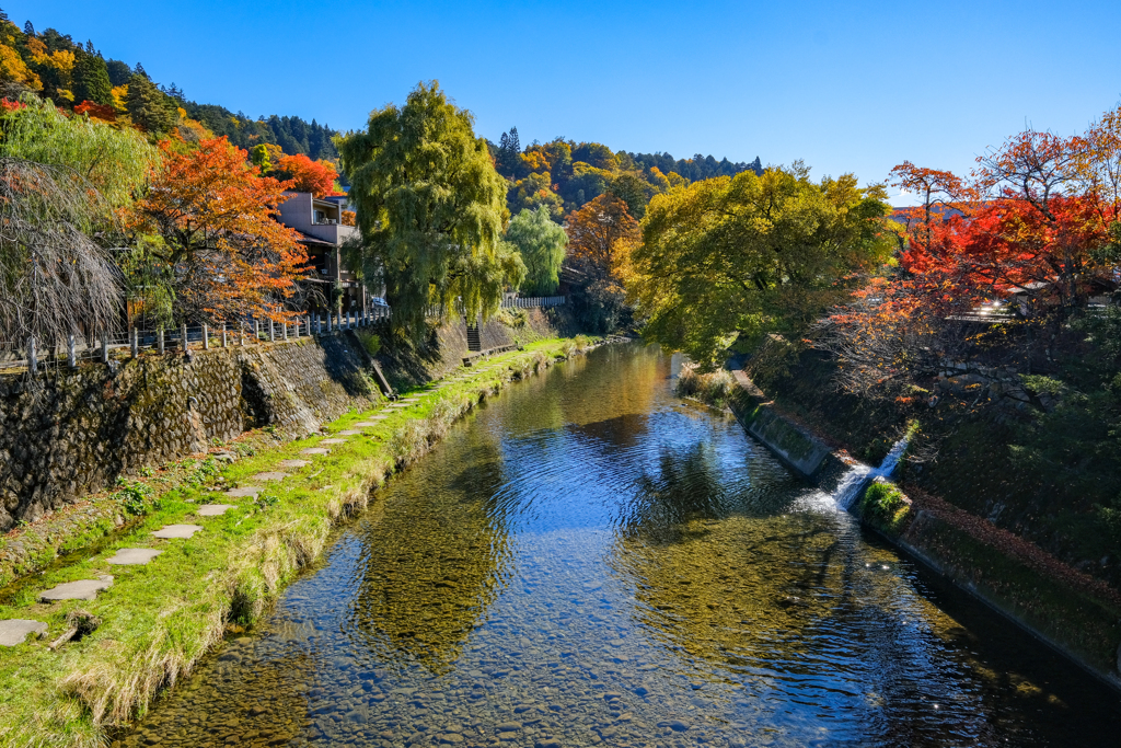 高山散策　紅葉の頃３