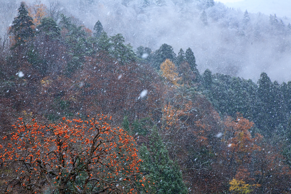 晩秋の雪