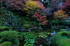 錦秋の庭園