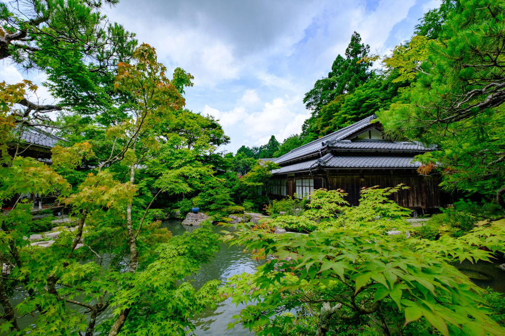 百済寺庭園　新緑の頃