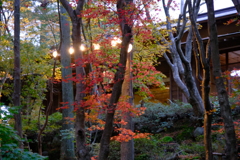 松陰山荘