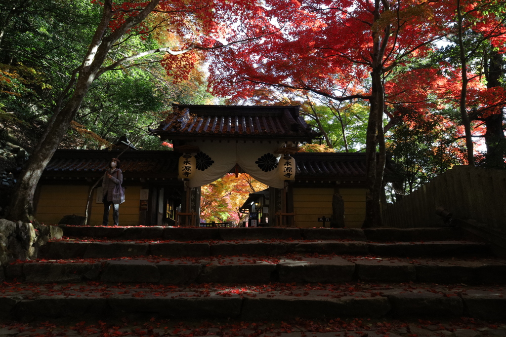 永源寺総門