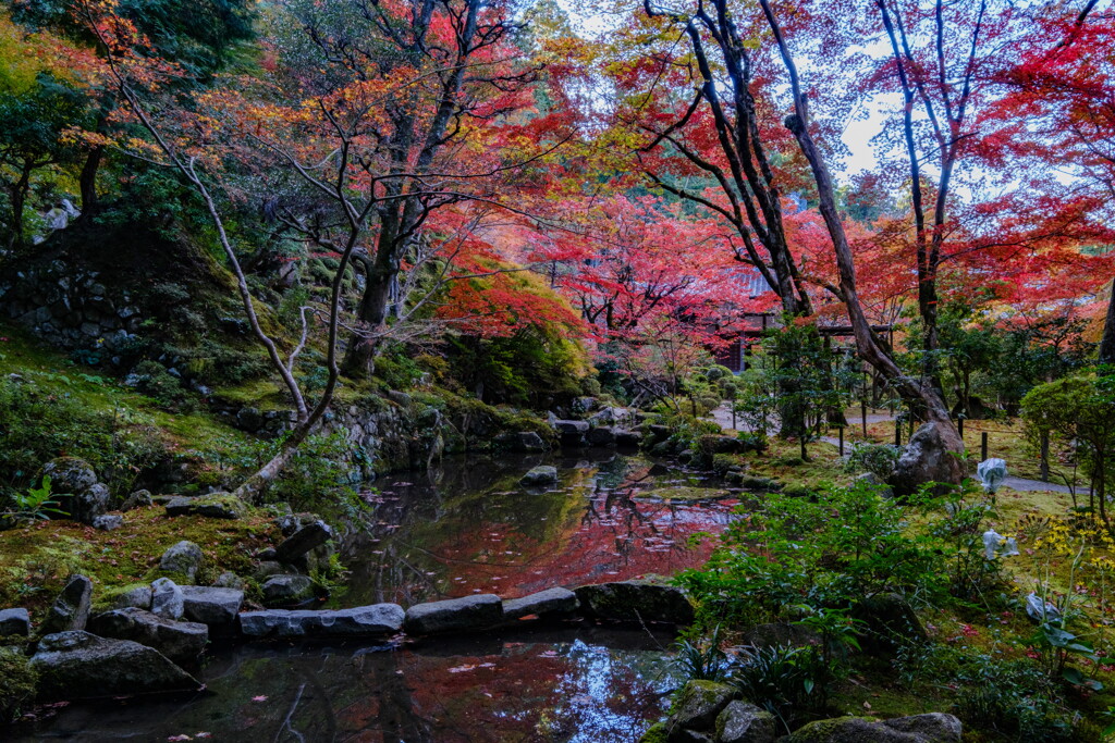 金剛輪寺　錦秋