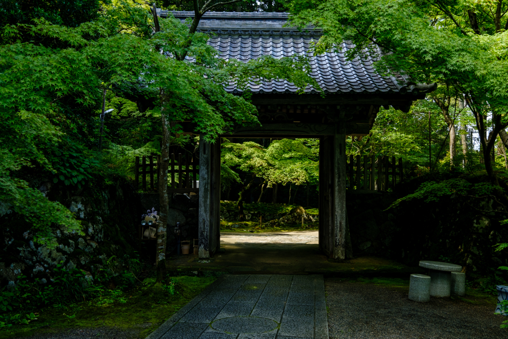 金剛輪寺白門　新緑の頃