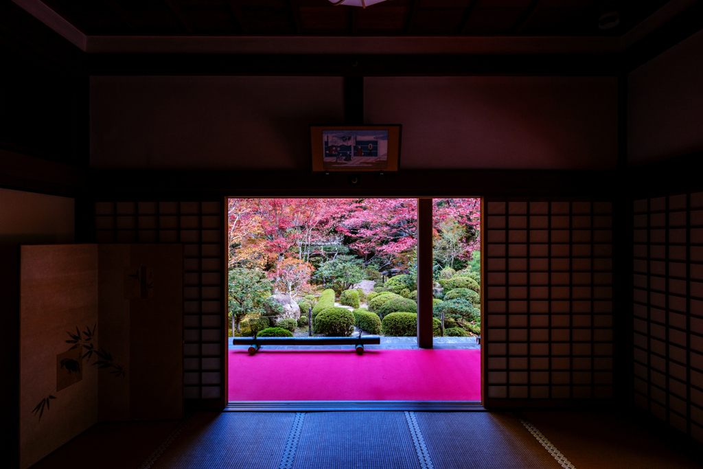金剛輪寺　明寿院　秋