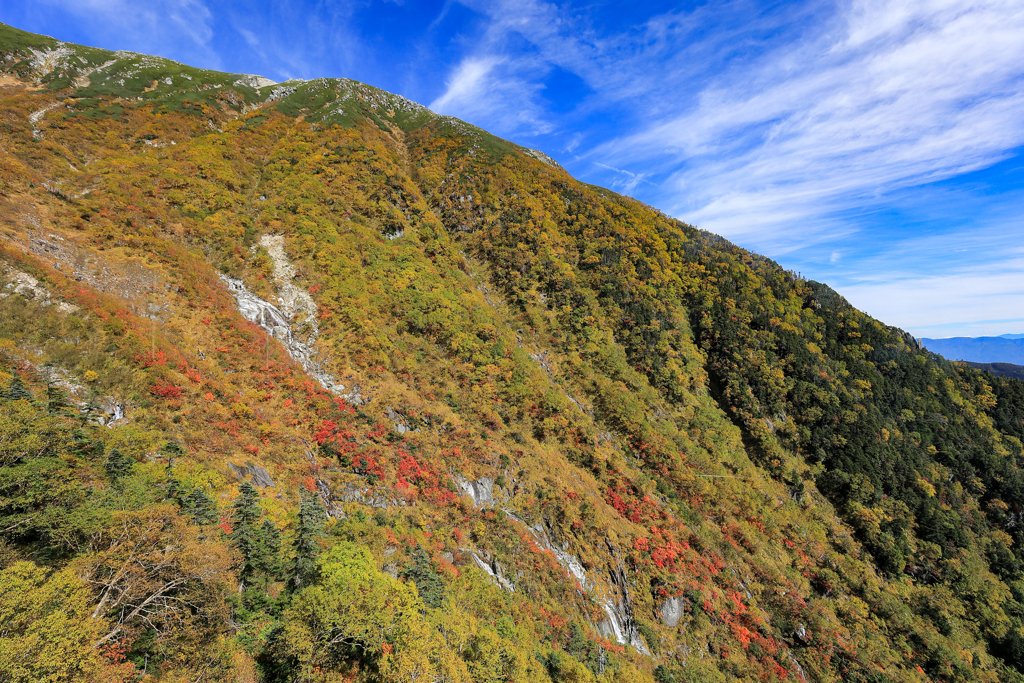 彩づく山肌１