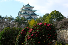 山茶花咲くころ