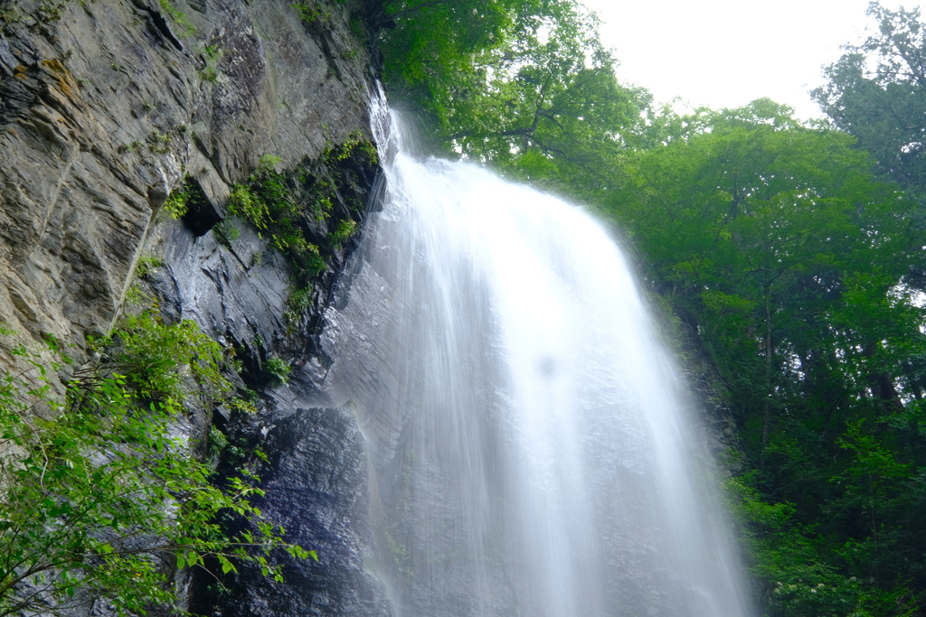 荘厳