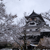 雪の犬山城