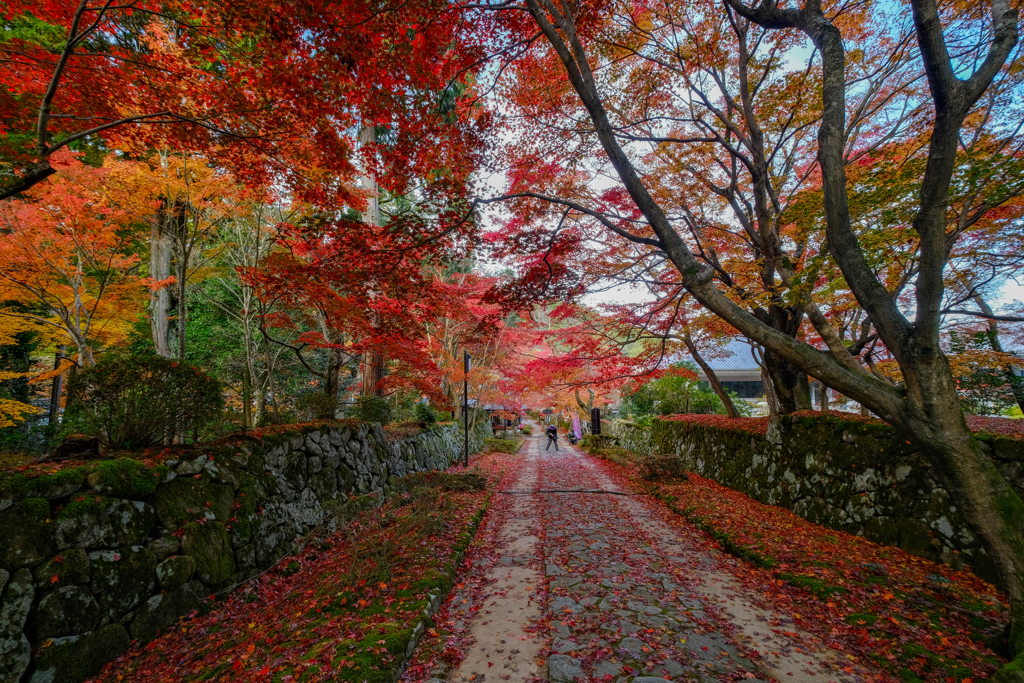 金剛輪寺　秋15