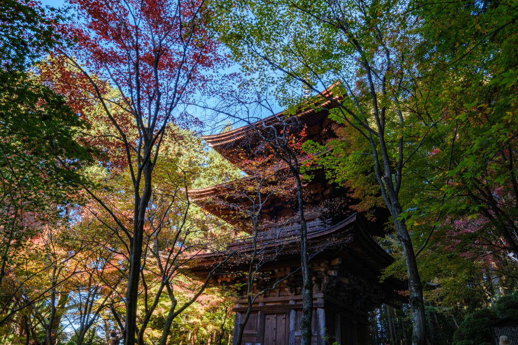 金剛輪寺　錦秋