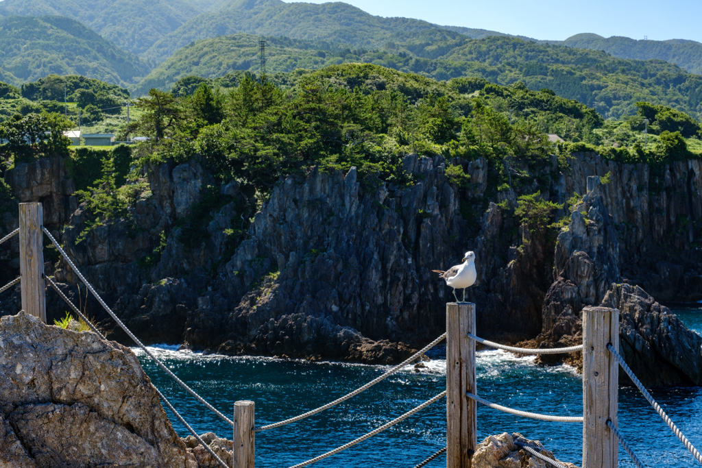 佐渡の旅　尖閣湾