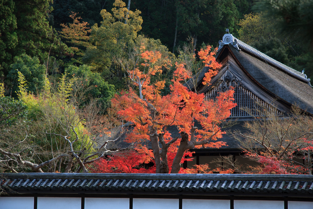 南禅寺　秋