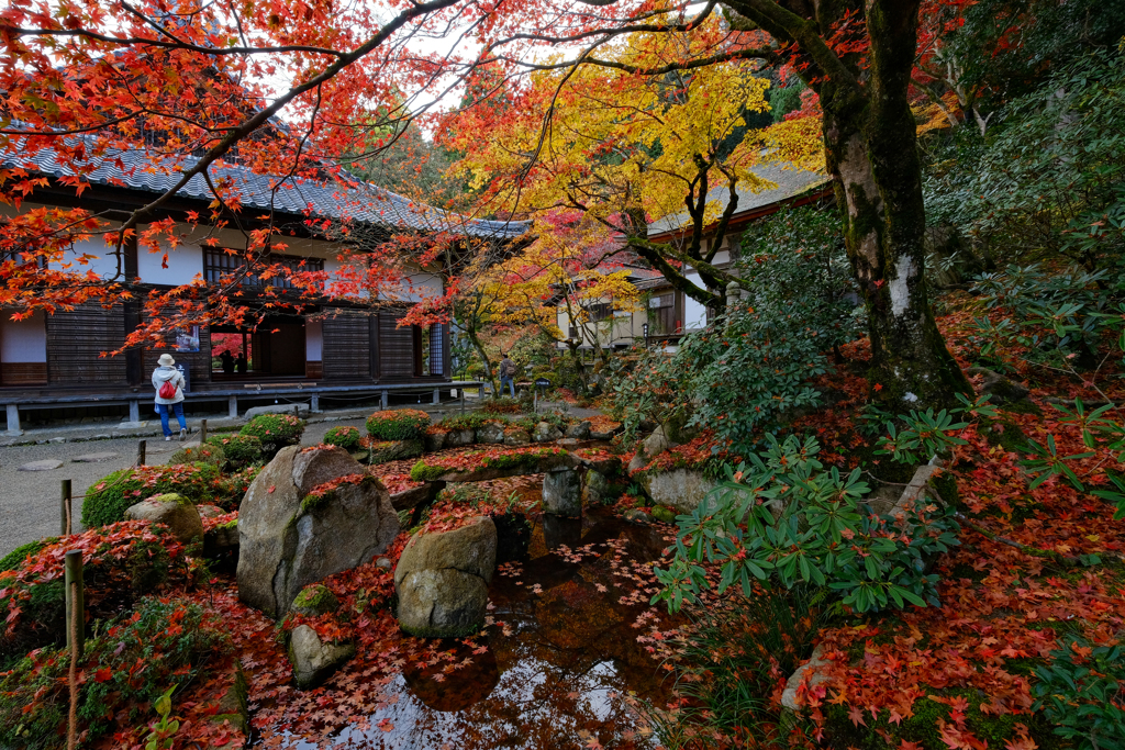 金剛輪寺　秋２