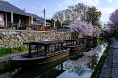 春の八幡堀