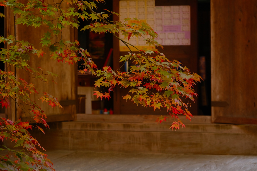金剛輪寺　秋17