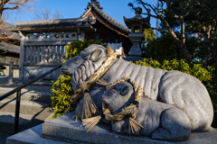 狛羊