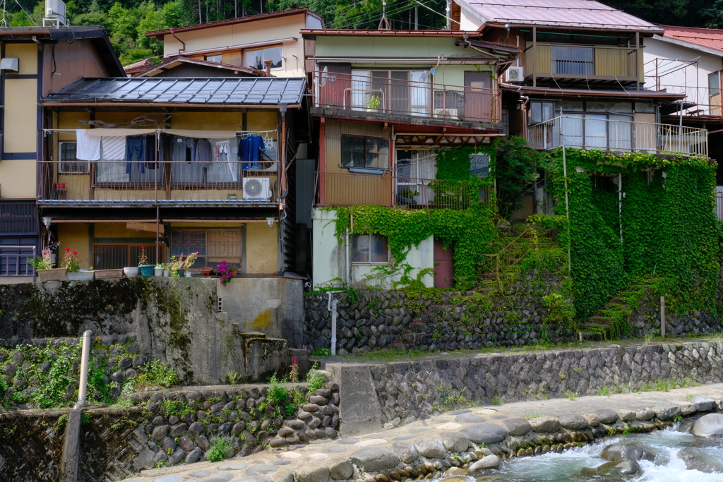 水辺の生活