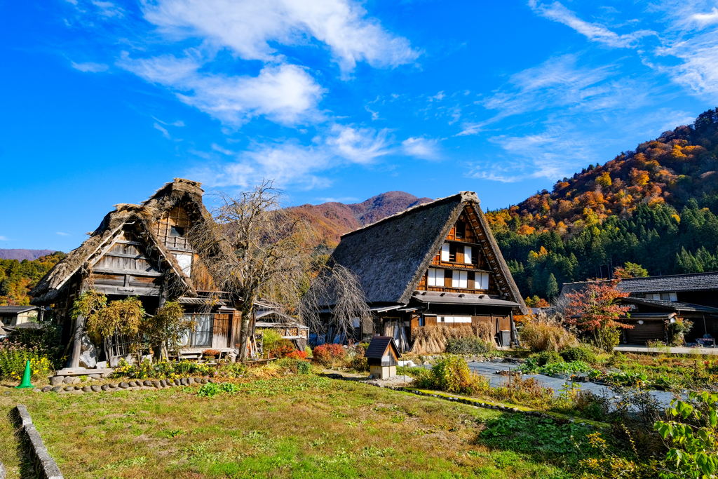 白川郷　紅葉の頃８