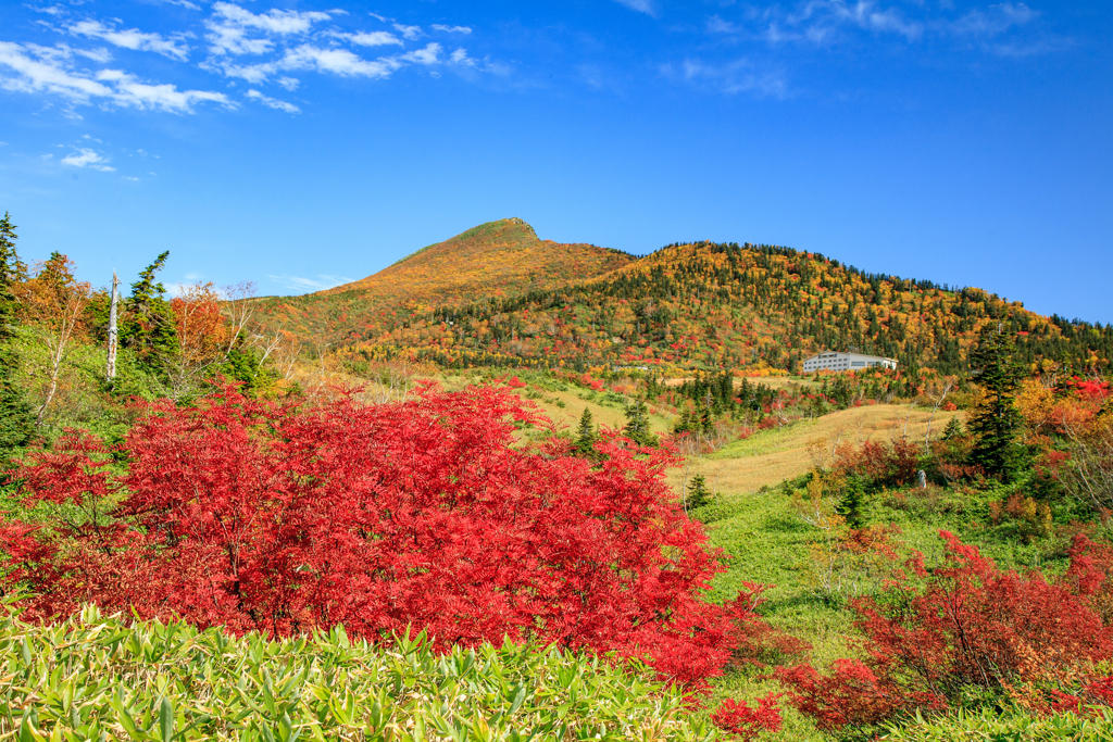 立山　秋　弥陀ヶ原