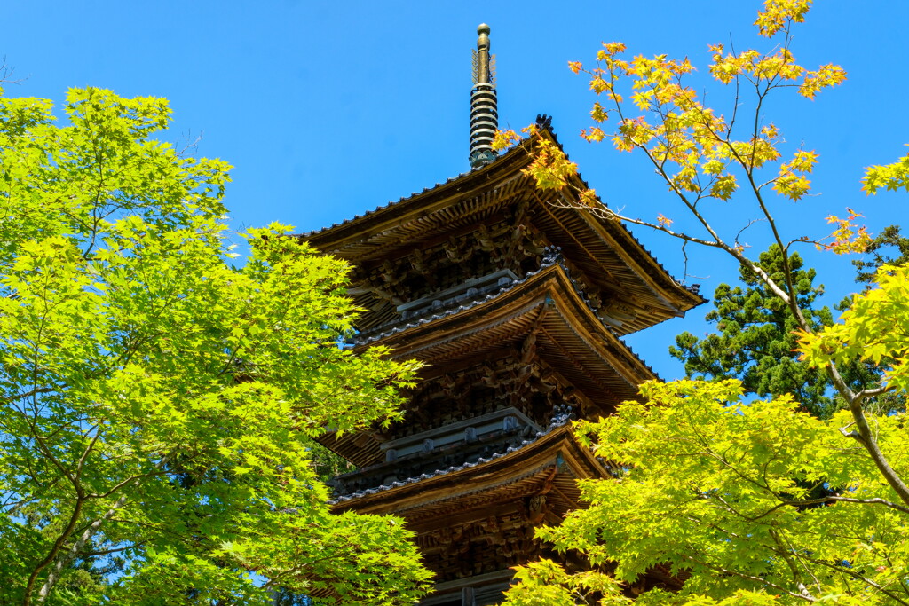 佐渡の旅　妙宣寺五重塔