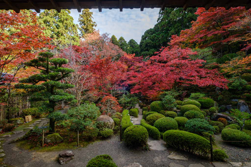 金剛輪寺　秋５