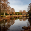 冬の公園