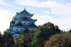 10月の名古屋城