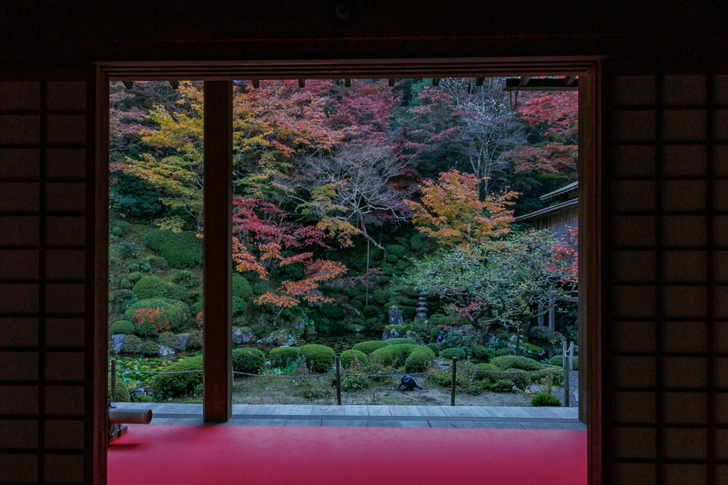 金剛輪寺　明寿院　秋