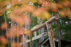鳥居