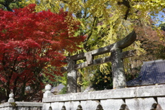 神社