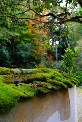 大洲如法寺