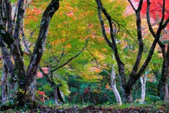 大洲稲荷山公園