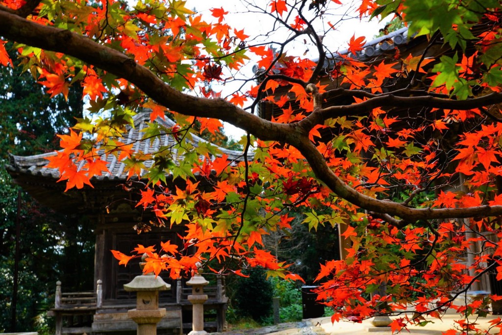 大洲如法寺鐘撞堂