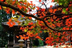 大洲如法寺鐘撞堂