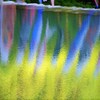 モネの配色