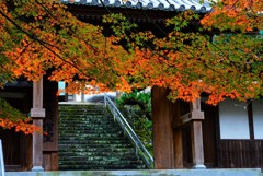 瑞応寺山門