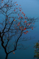 通谷池紅葉2